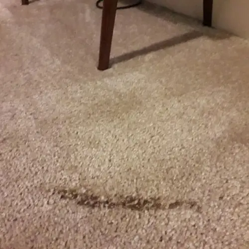 Carpet Burn Repair Pakenham