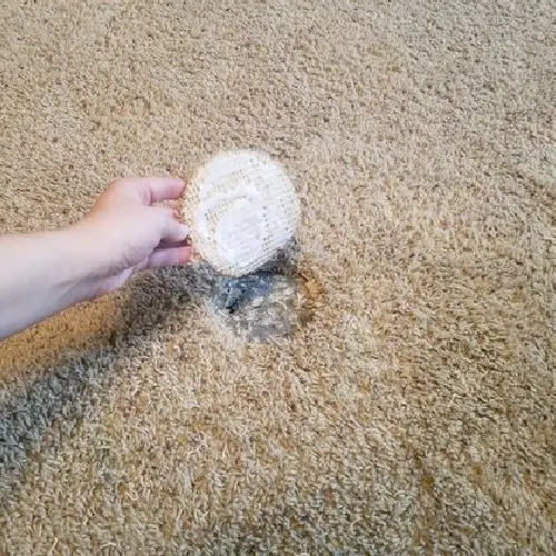 Carpet Hole Repair Pakenham